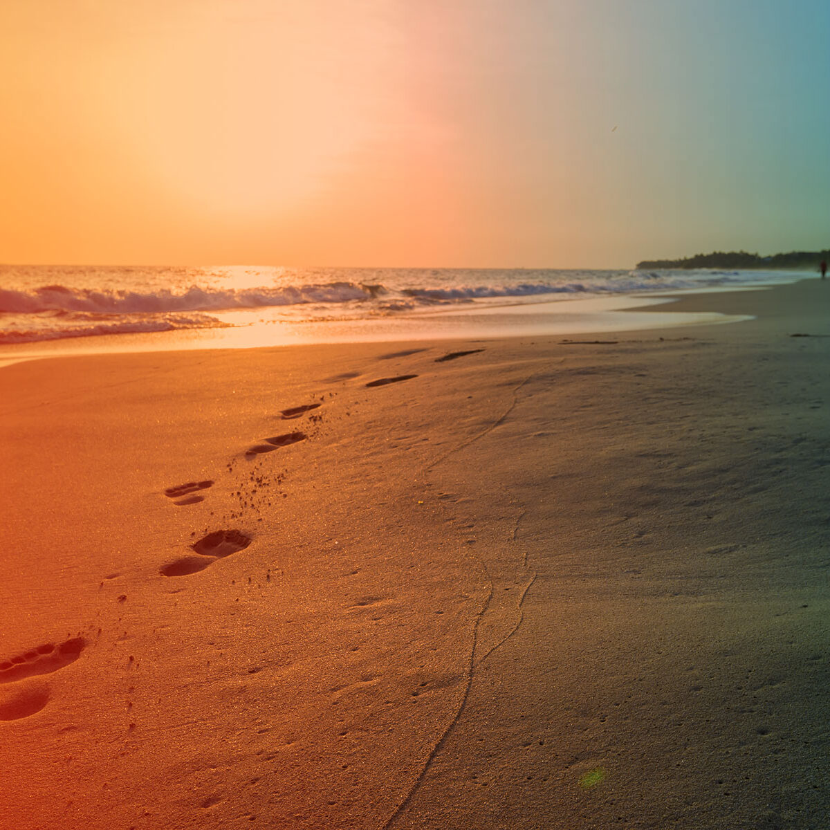 Beach Landscape